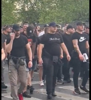 Gadiluk iz našeg sokaka