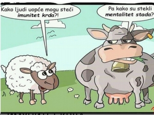 mentalitet stada