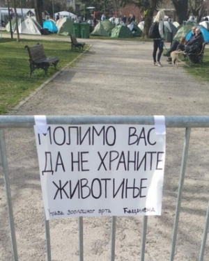 Partijski poslušnici u Ćacilendu