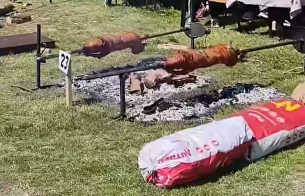 Kulturo, eve me - Mića Reljić